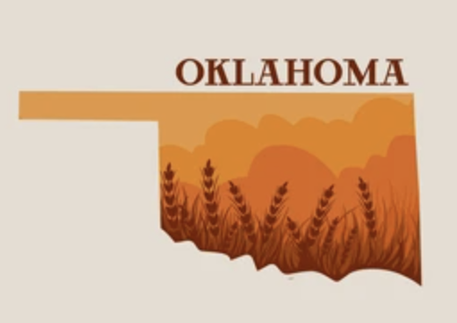 Oklahoma Crime Project Icon